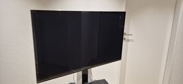 Der legendäre  Panasonic TX-P50GT50J (50 Zoll)