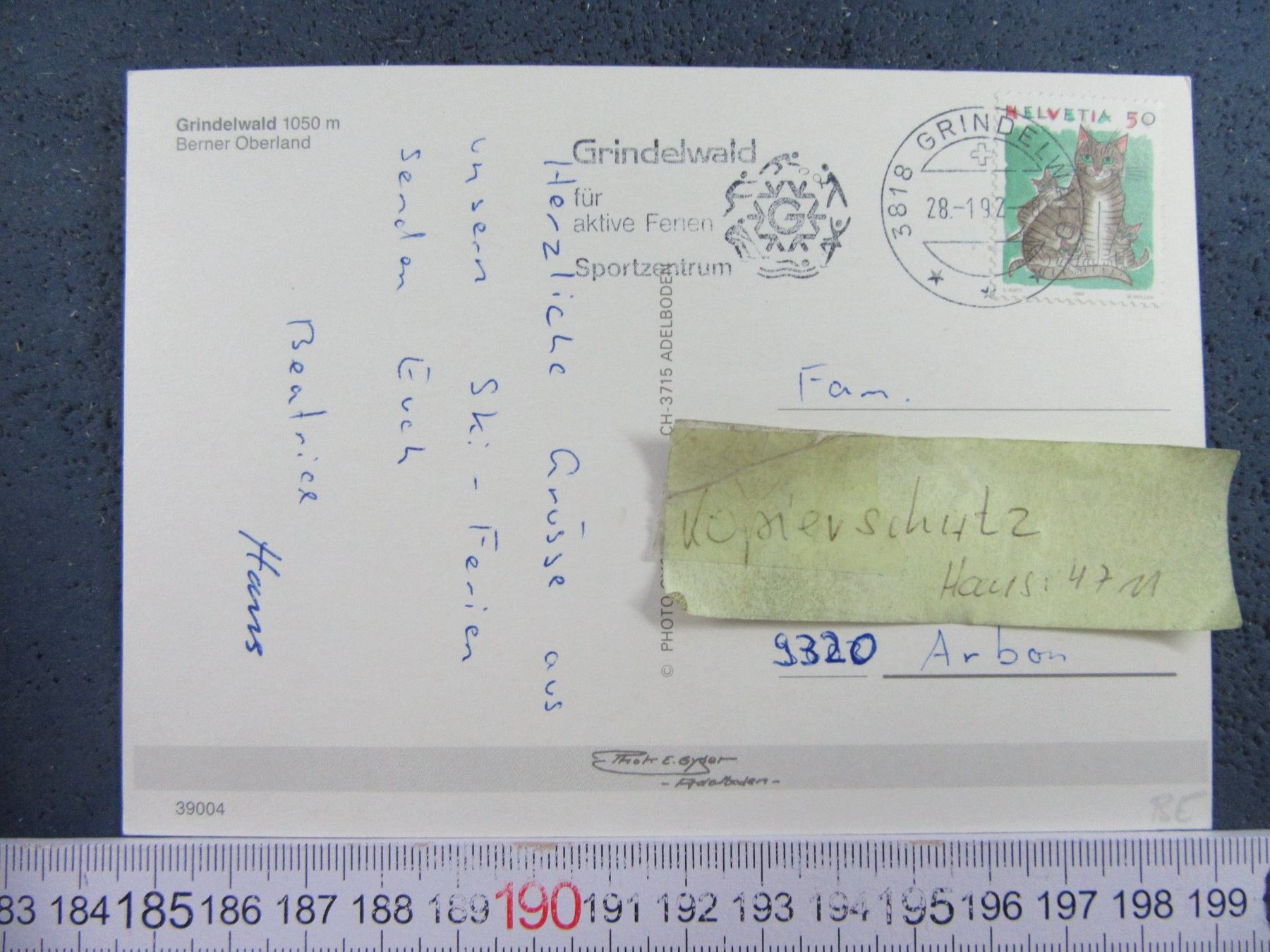 Cartoline postali: GRINDELWALD SKI TOTAL BEO AK – Usato da Ettingen venduto da Hausi4711 1