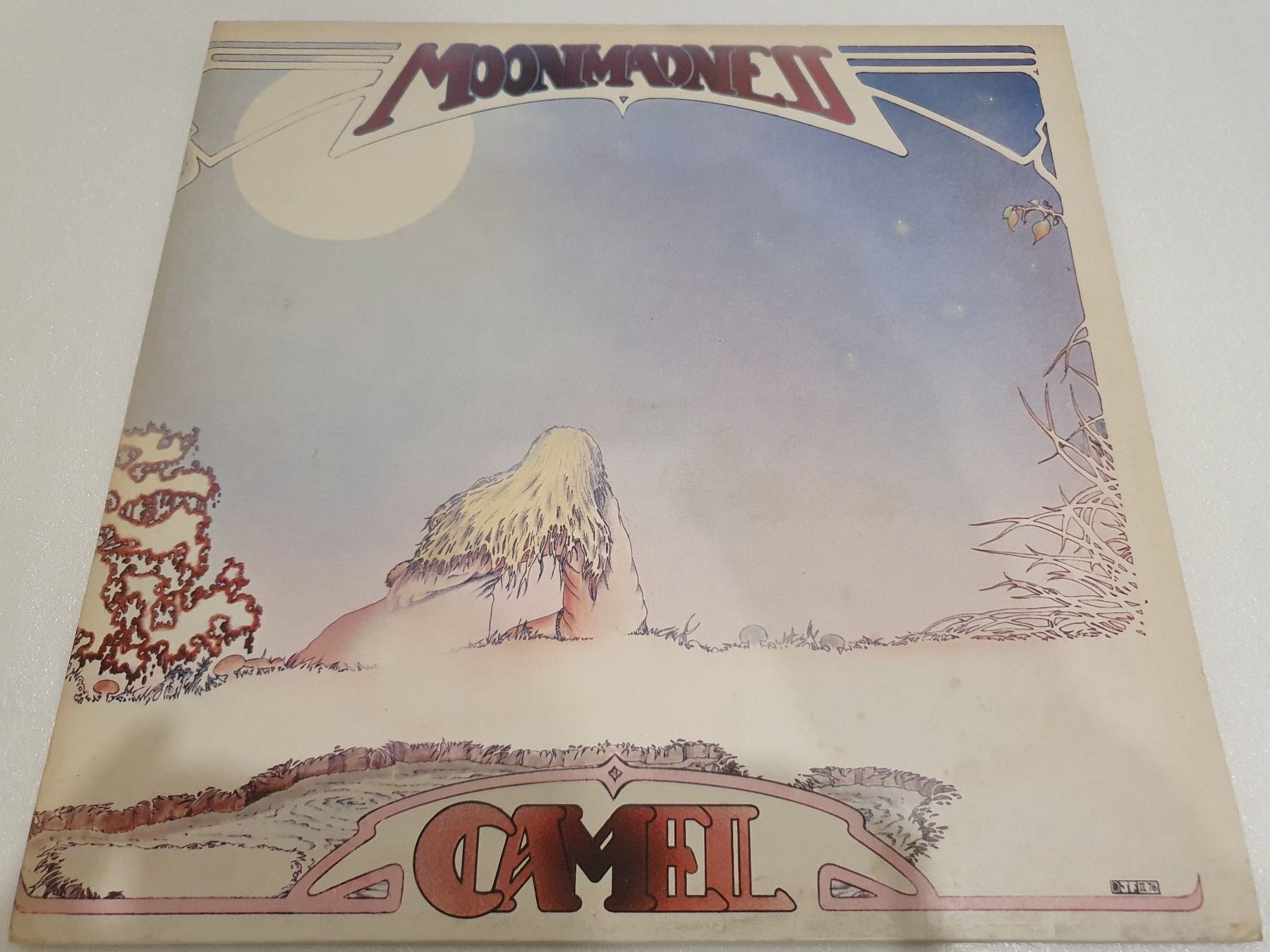Dischi in vinile: Camel – Moonmadness – Usato da Uster venduto da Vinyl-Leidenschaft