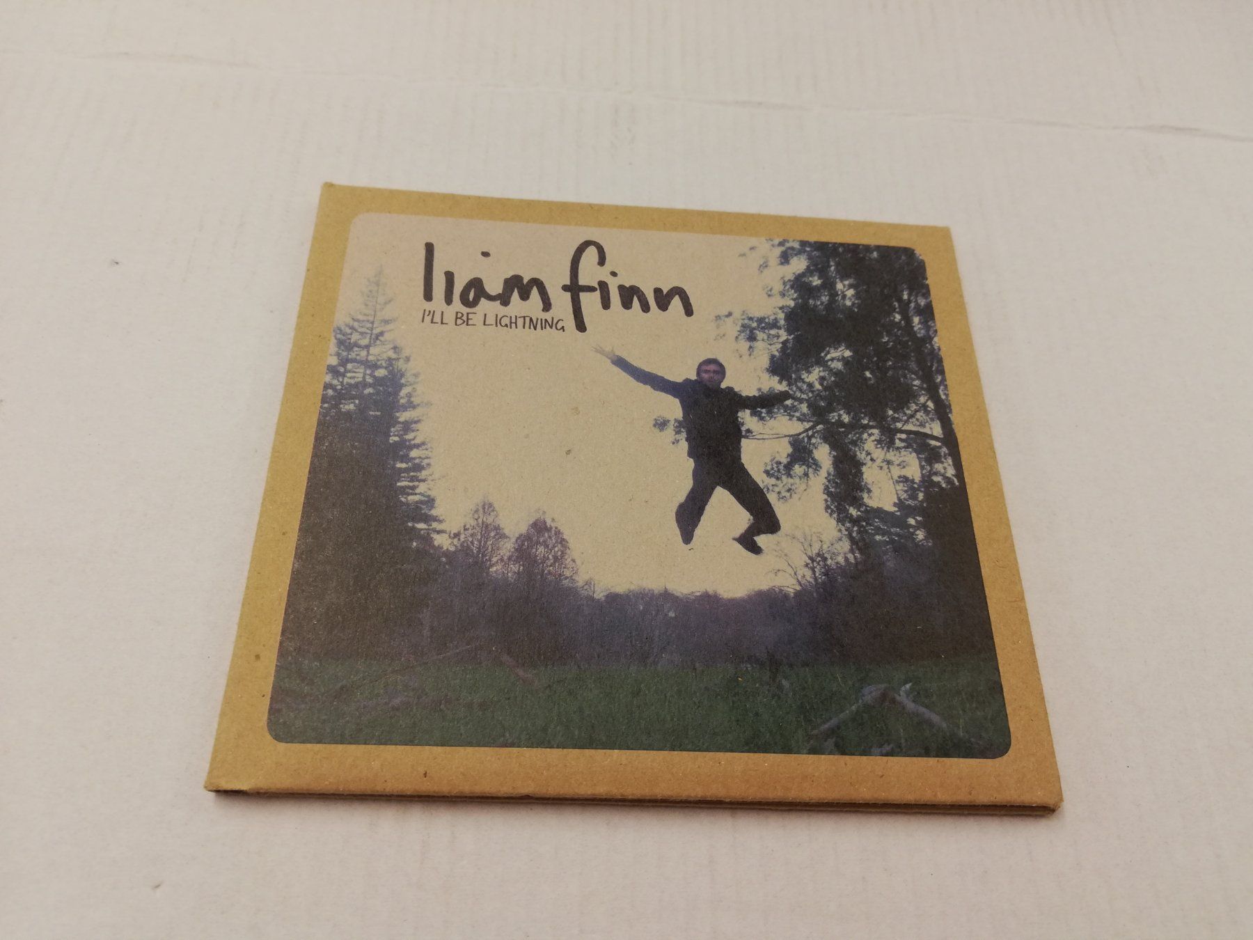 CD: LIAM FINN - I'LL BE LIGHTNING – Usato da Bern venduto da Vinylsound.ch
