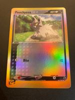 Poochyena 63/109 Reverse Holo