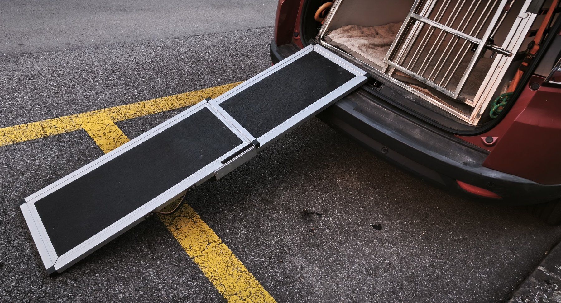 Cages, transport & sécurité: Hunderampe Aluminium zusammenschiebbar – D'occasion à Luzern par Raui 1