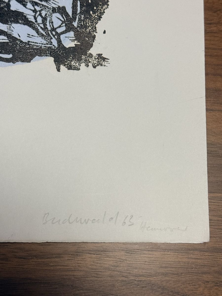 Grafica & Litografie: Hans-Ulrich Buchwald - Lithographie – Usato da Solothurn venduto da NUVICO 3