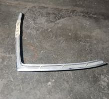 Chrome de capot Ford Thunderbird 66