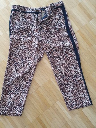 7/8 Guess Hose