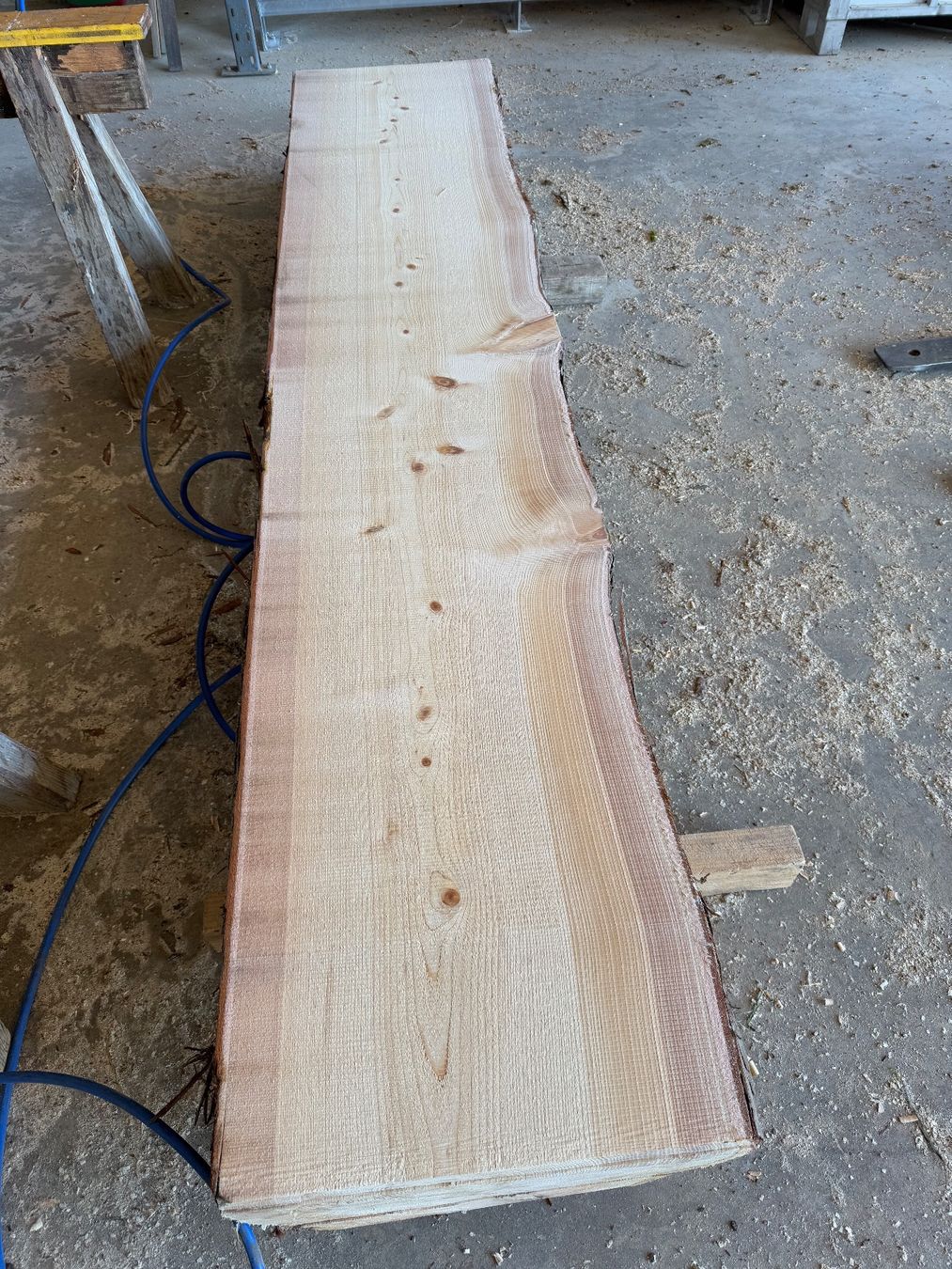 Articoli in legno: Thuja klotzbretter ganzer Stamm – Usato da Holziken venduto da Timbergrizzly 4