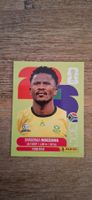 Panini FIFA WM 2026 RSA 8