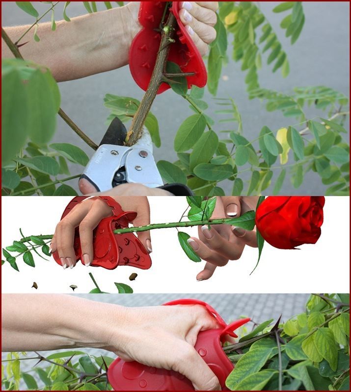 Tutti gli attrezzi: Papillon Dornen-, Gartenhandschuh Orange – Nuovo e nell'imballaggio originale da Wettingen venduto da kochshop 1