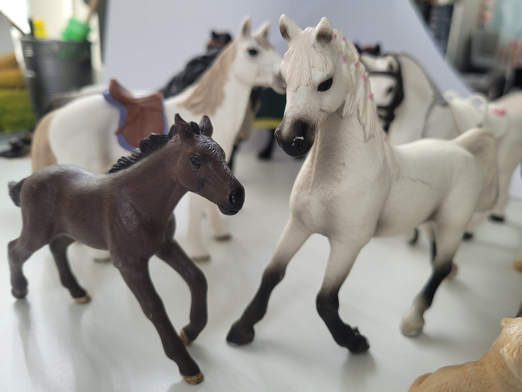 Schleich Statuette: Schleichtiere 10 Stück – Usato da ennenda venduto da popcorn007 1