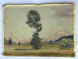 🤸 EGGERSTANDER Moos 1928 Pro Juventute Karte Nr. 142 rar 🌱