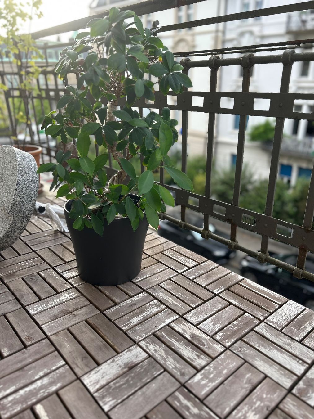 Holzartikel: Terrassenfliessen ADAM Akazie – Gebraucht aus Zürich von mar_st77 7