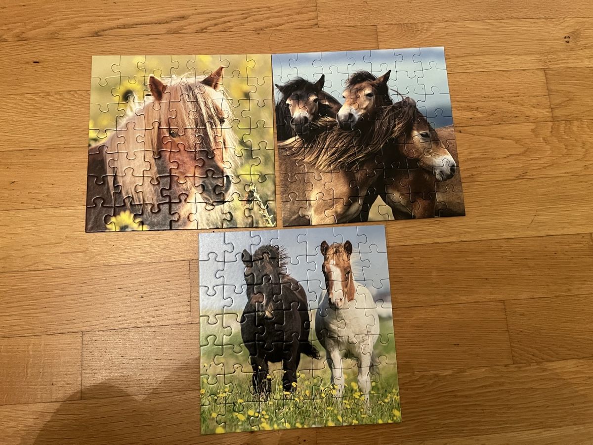 Ravensburger Puzzle: Ravensburger Pferdepuzzle ab 5J – Usato da Zürich venduto da Gabi_78 1