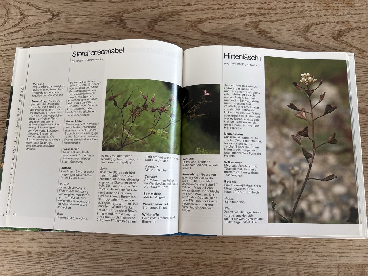 Libri: Das Kräuterjahr – Usato da Schlierbach venduto da Stee09 2