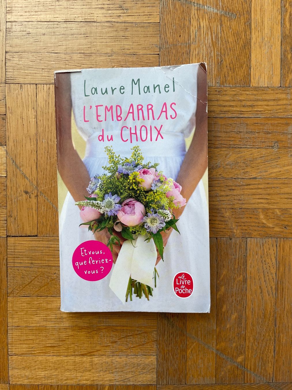Libri: L'embarras du choix - Laure Manel – Usato da Gland venduto da lcurtet06