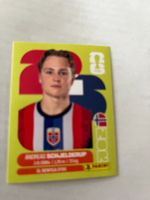 Panini World Cup 2026