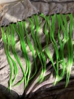 Extensions cheveux verts 55 cm lot de 12 pièces clips