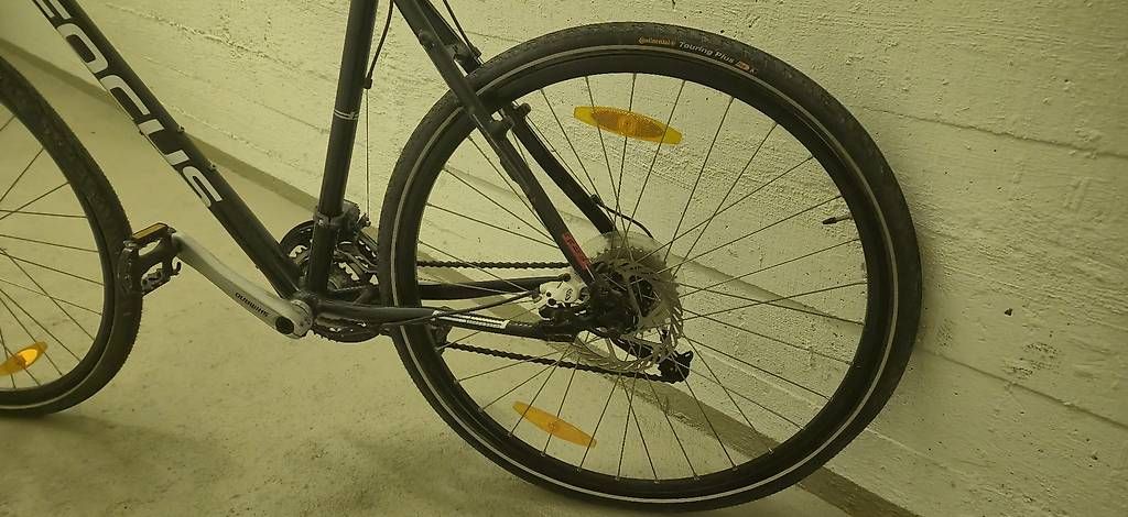 Velos: Focus Mountainbike – Gebraucht aus Wohlen AG von ste_w55b 1