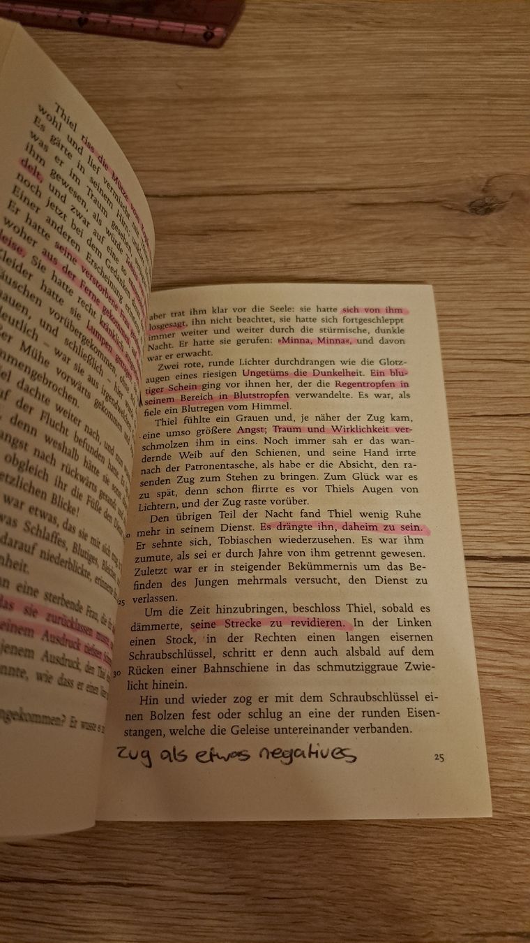 Libri: Bahnwärter Thiel, Gerhart Hauptmann – Usato da Schaffhausen venduto da xJuliax 2