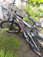 Mountainbike Arrow SD Sixteen