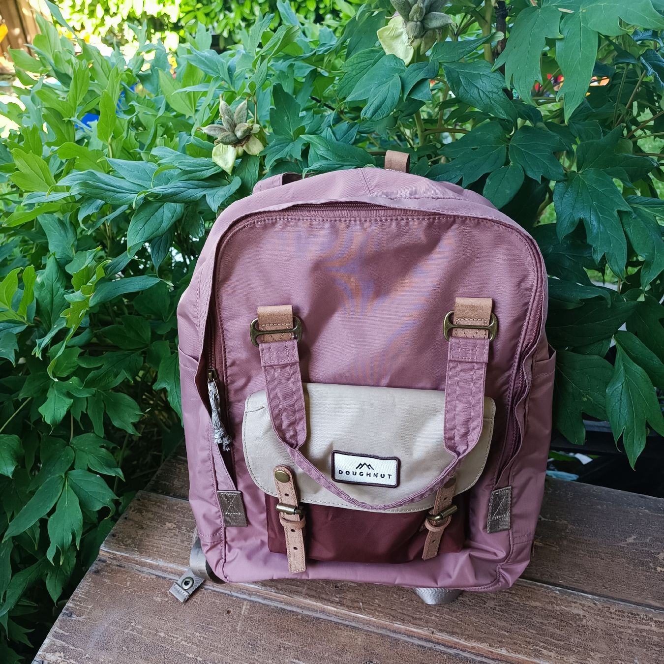 Zaini: Doughnut Rucksack – Usato da Busswil BE venduto da Mango87