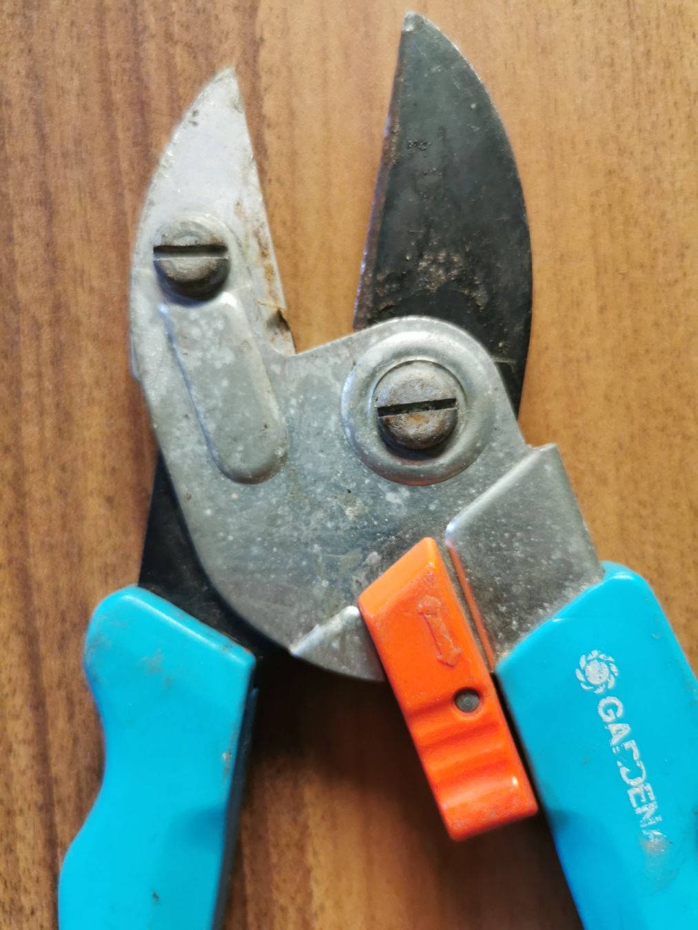 Tous les outils: Gartenschere – D'occasion à Glattfelden par sut_q8d2 3