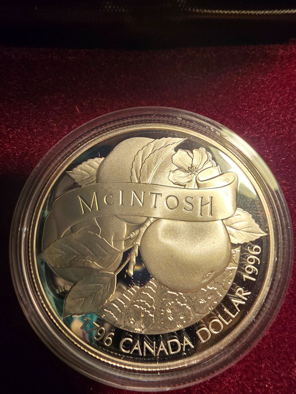 Tutti le monete: Royal Canadian Mint, Ag 925, 1996 – Usato da Farvagny-le-Petit venduto da Aeternitas_FS 2
