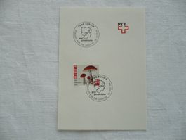 10.-11.12.1994 Faltbl. ProJuventute "Zukunft für die Jugend"