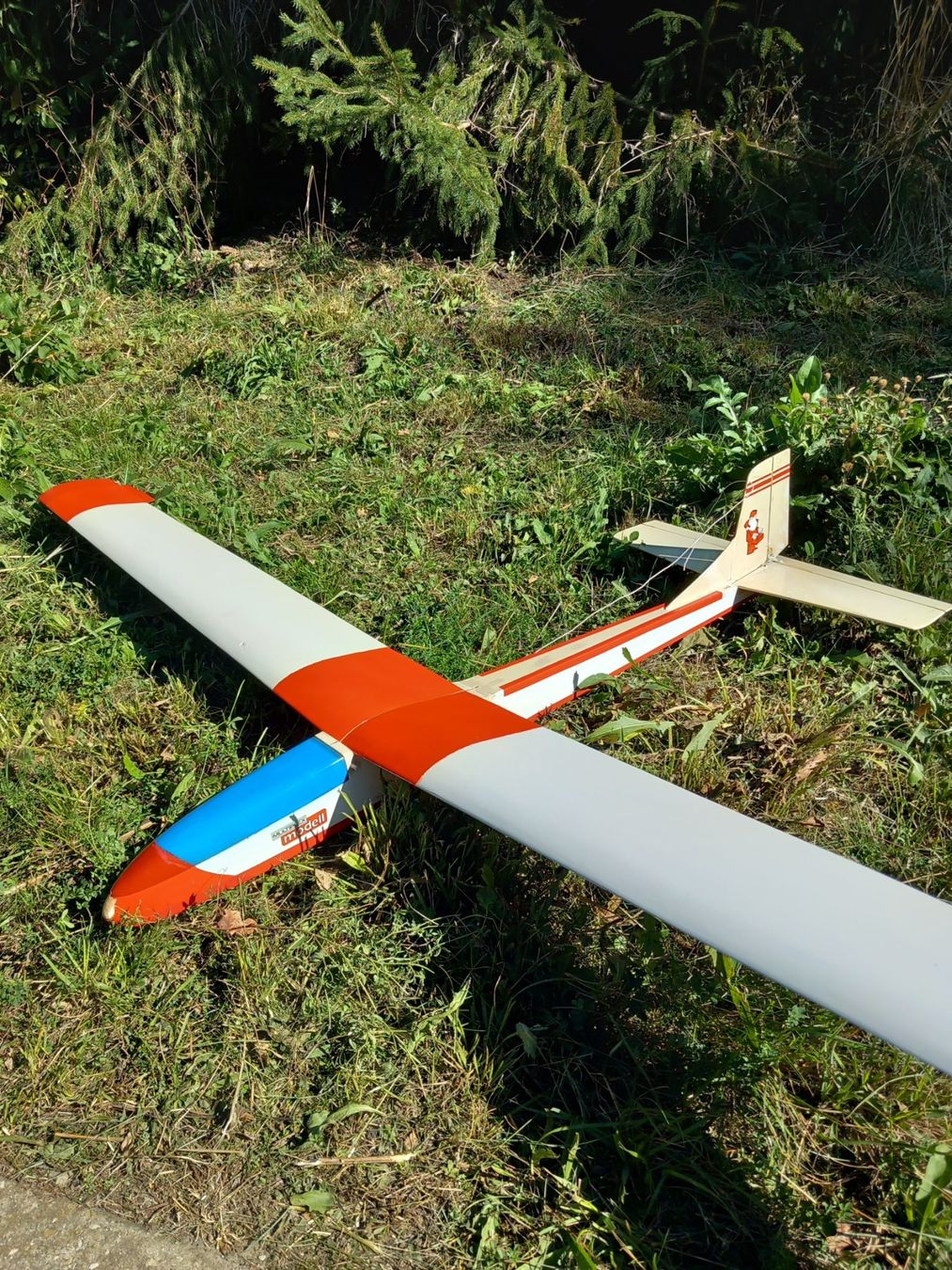 Multiplex RC Modellbau: RC Modell Multiplex Filius – Gebraucht aus Givisiez von Reiffel 4
