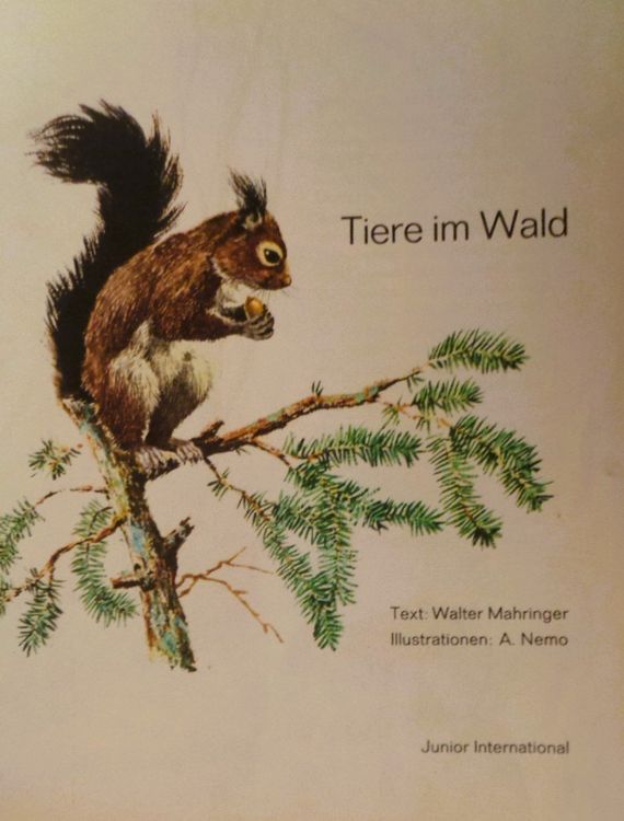tiere-im-wald-bilderbuch-1969-ab-fr-7-gebraucht-in-bellach-f-r