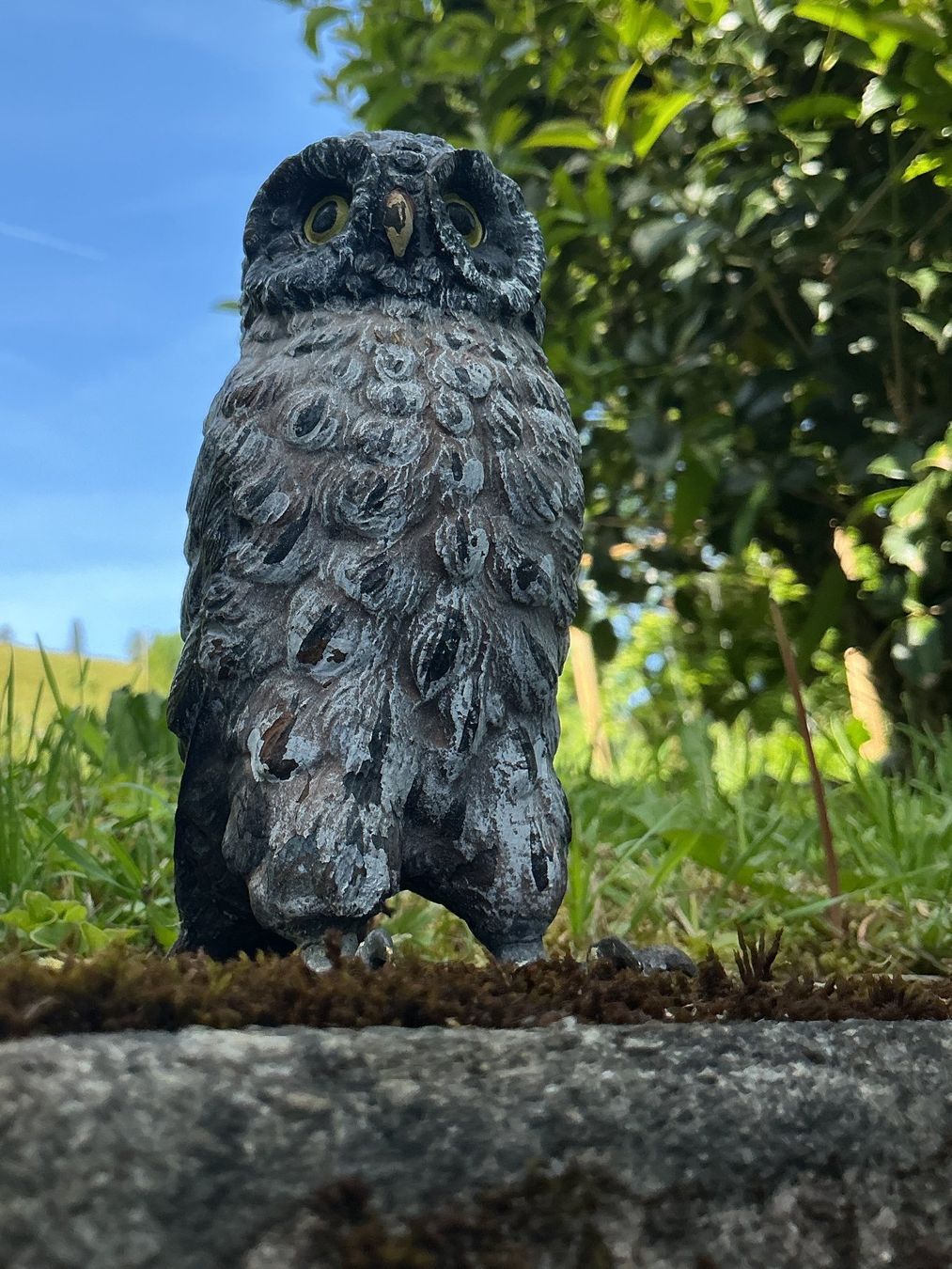 Sculture & Statue: SKULPTUR kleine Eule für den Garten – Usato da Richterswil venduto da Restwert_Richterswil 7