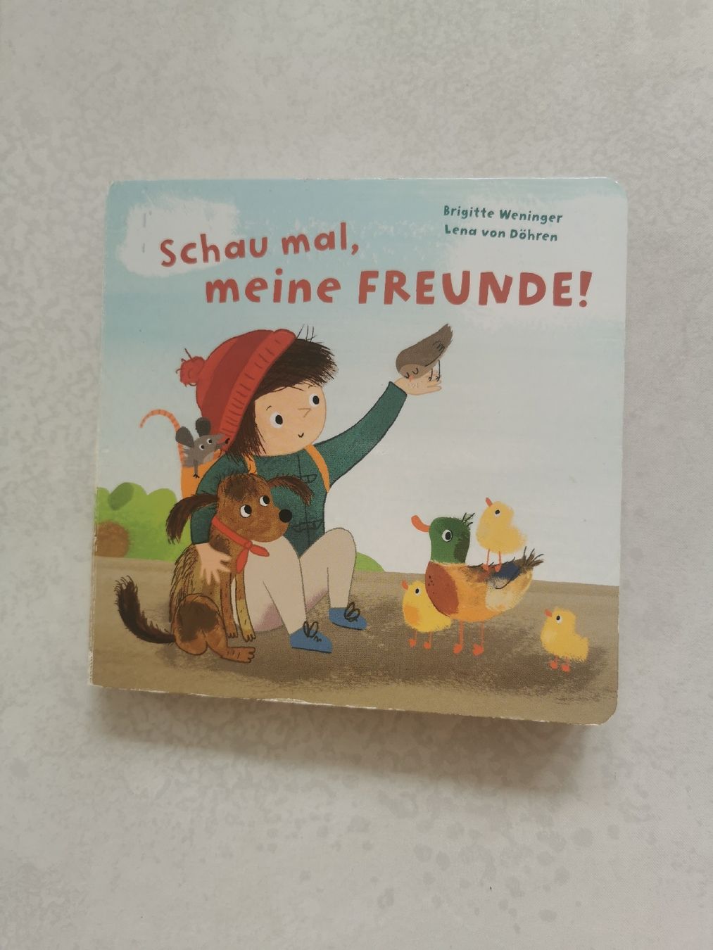 Libri: Bilderbuch "Schau mal meine Freunde"  – Usato da Brunnen venduto da JJaime