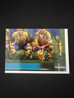 Panini UEFA EM 2008 Sticker - Nr. 388