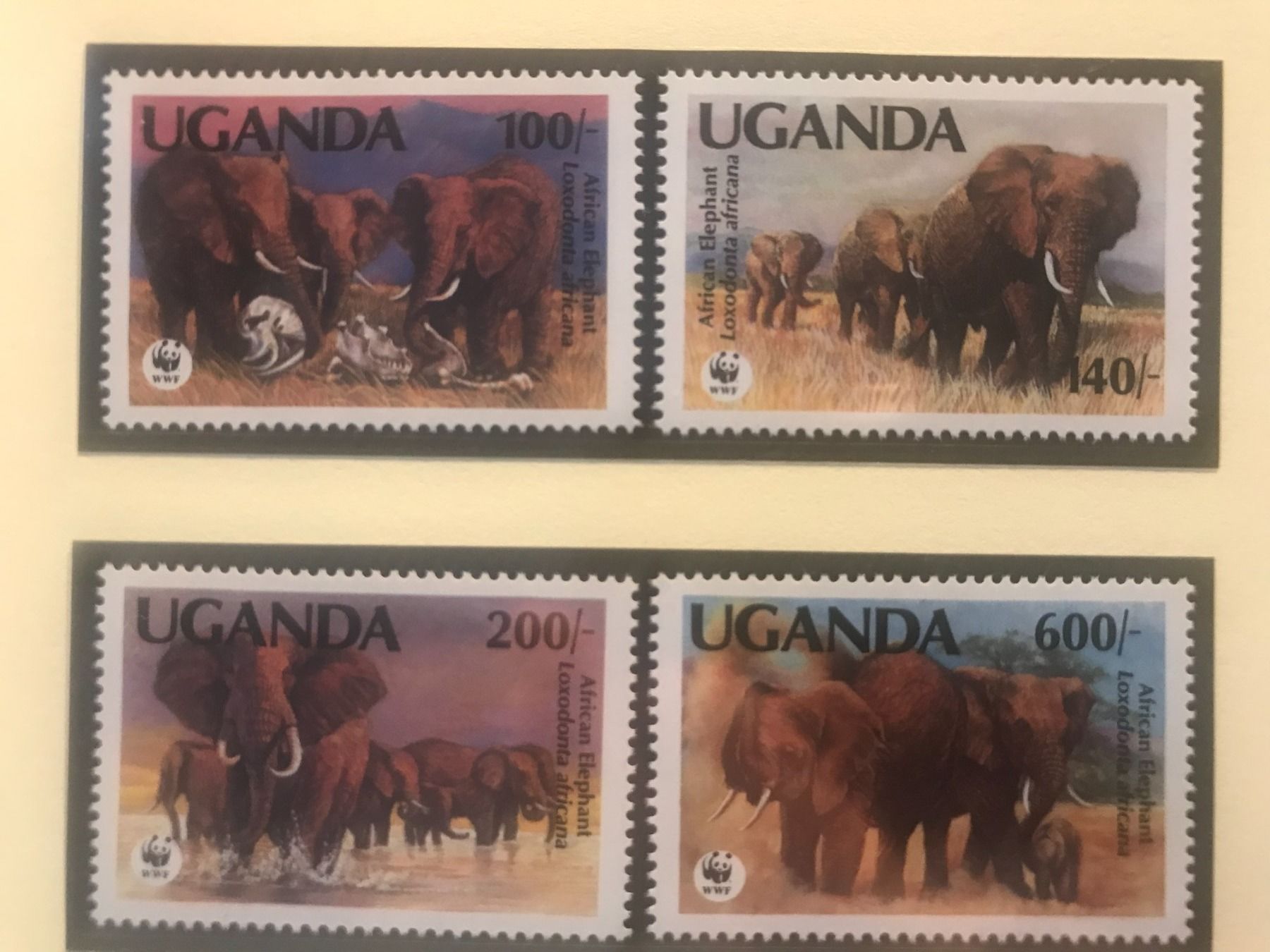 Tutti i francobolli: WWF Uganda 1991 Satz Afrikanischer Elefanten postfrisch – Nuovo (secondo la descrizione) da Winterthur venduto da schnueps
