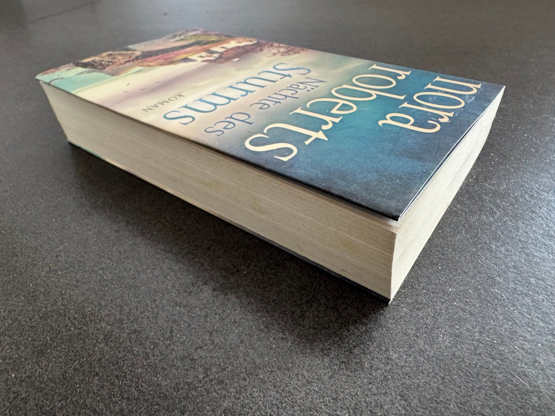 Libri: Nora Roberts "Nächte des Sturms" Roman – Usato da Fribourg venduto da tschjoly 3