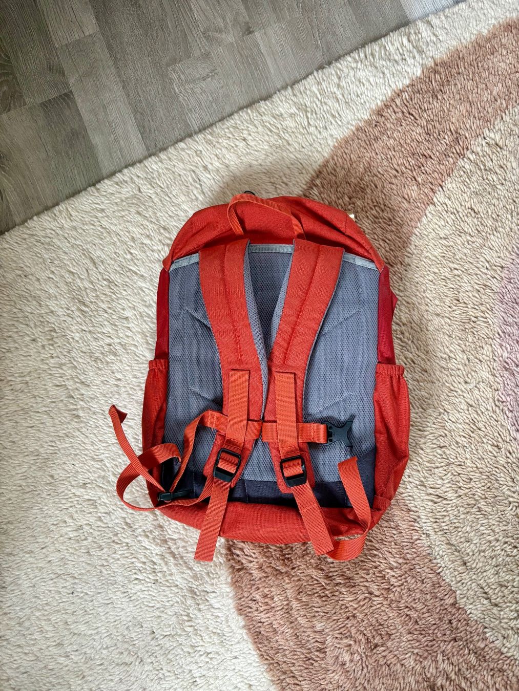 Deuter Sacs & sacs à dos: Deuter Waldfuchs Rucksack – D'occasion à Flums par Sonderegger1985 2