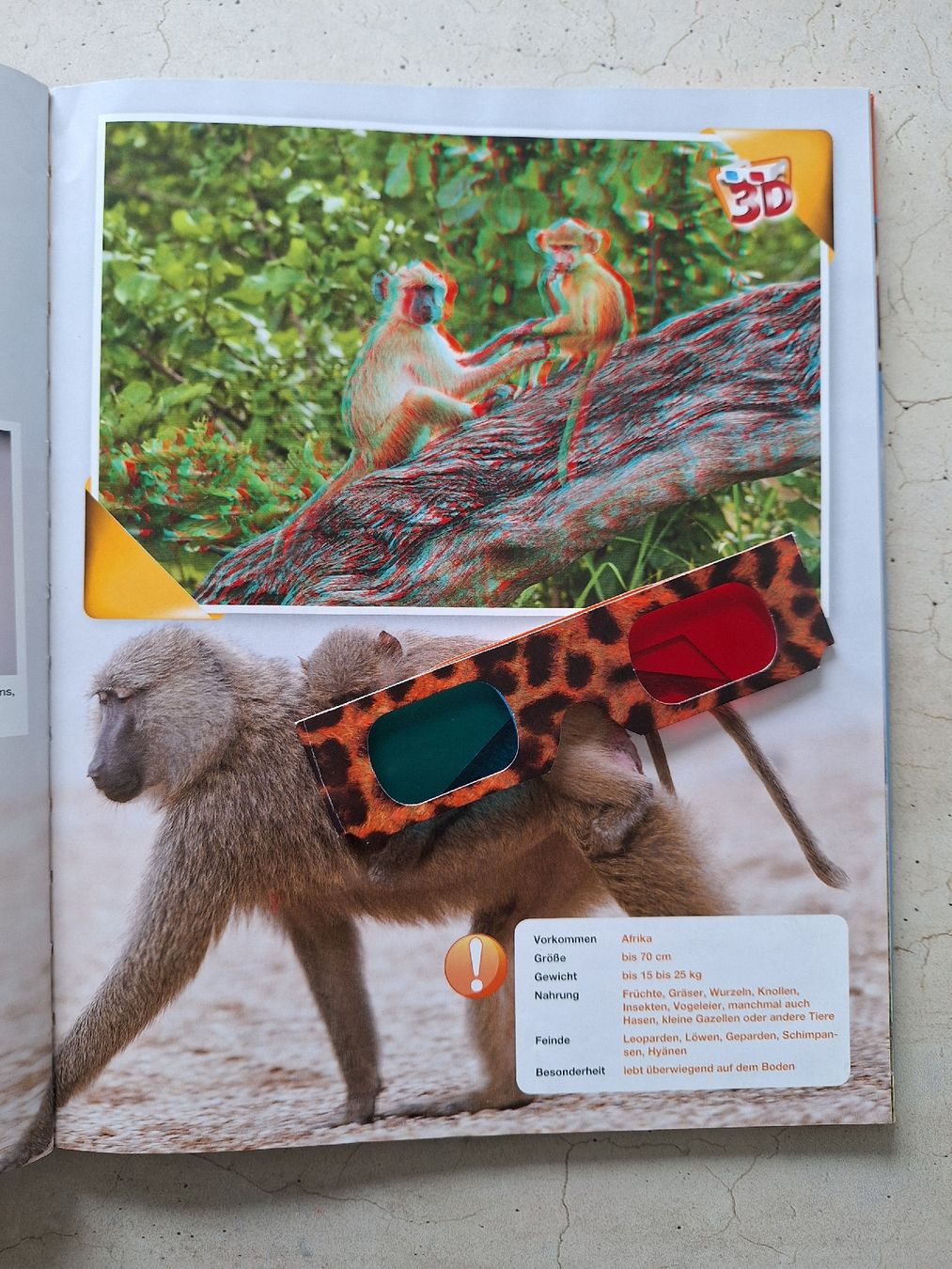 Bücher: Wissen in 3D: Safari – Gebraucht aus Schaffhausen von Mipakr 2