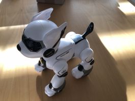 Roboterhund