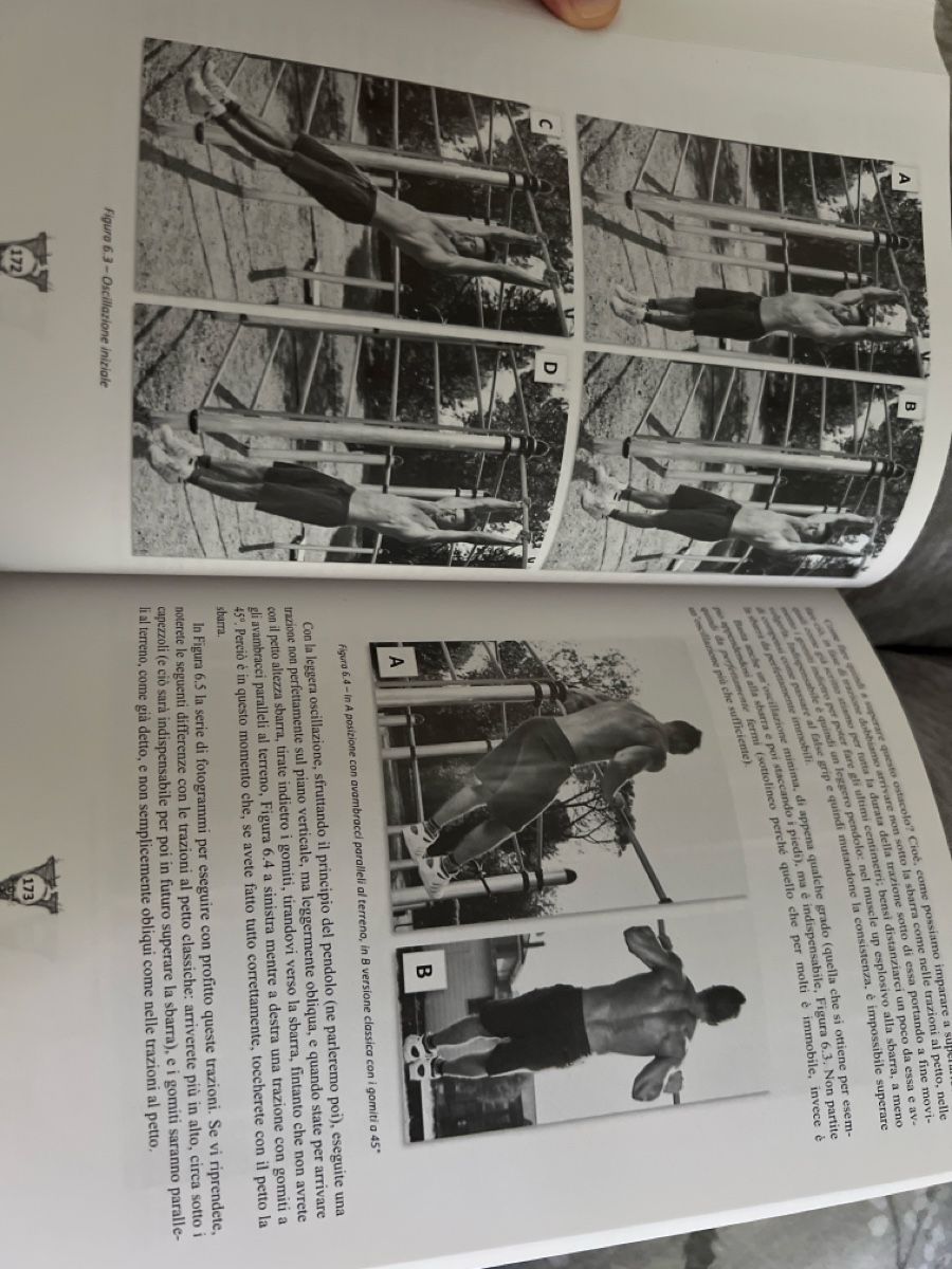 Libri: Project Calisthenics Book - Get Strong this Summer! – Nuovo (secondo la descrizione) da Grenchen venduto da baj_5hbw 1