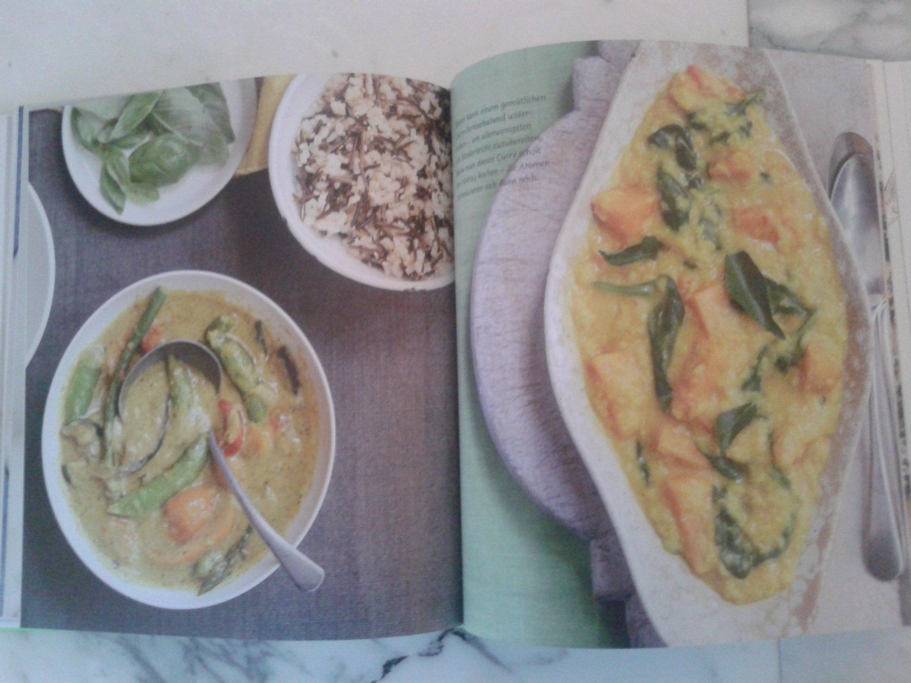Libri: Buch: Vegetarisch basisch gut: 100 einfache Rezepte NEU – Nuovo (secondo la descrizione) da Camorino venduto da Campellino 5