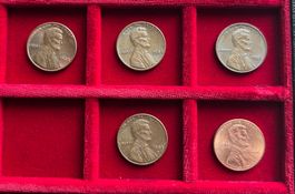 USA Lot, 5x 1 Cent vzgl - unz 1982 & 2016 Lincoln Cent