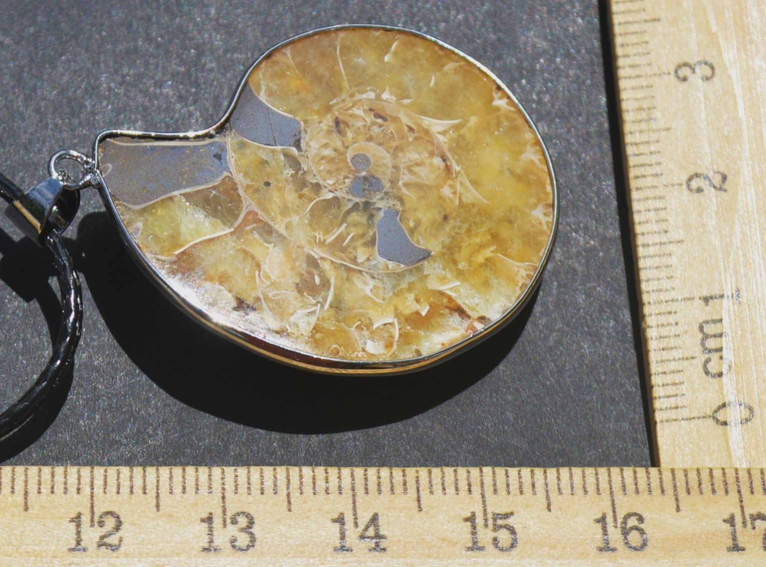 Catenine: Halskette T-52 - Ammonit Fossil – Nuovo e nell'imballaggio originale da Goldiwil (Thun) venduto da han_v5b7 4