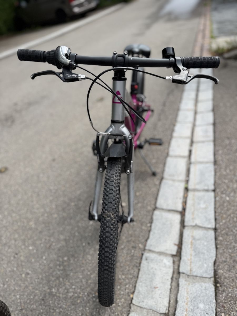 Crosswave Biciclette: Crosswave Prime Rider 20 Zoll – Usato da Stallikon venduto da Zoe1710 4