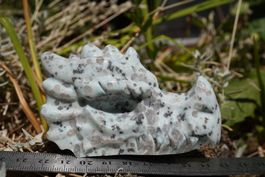 Kiwi  Jaspis Drachen Kopf   9cm X  5cm WOW    (1)