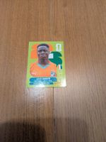 Panini CIV20