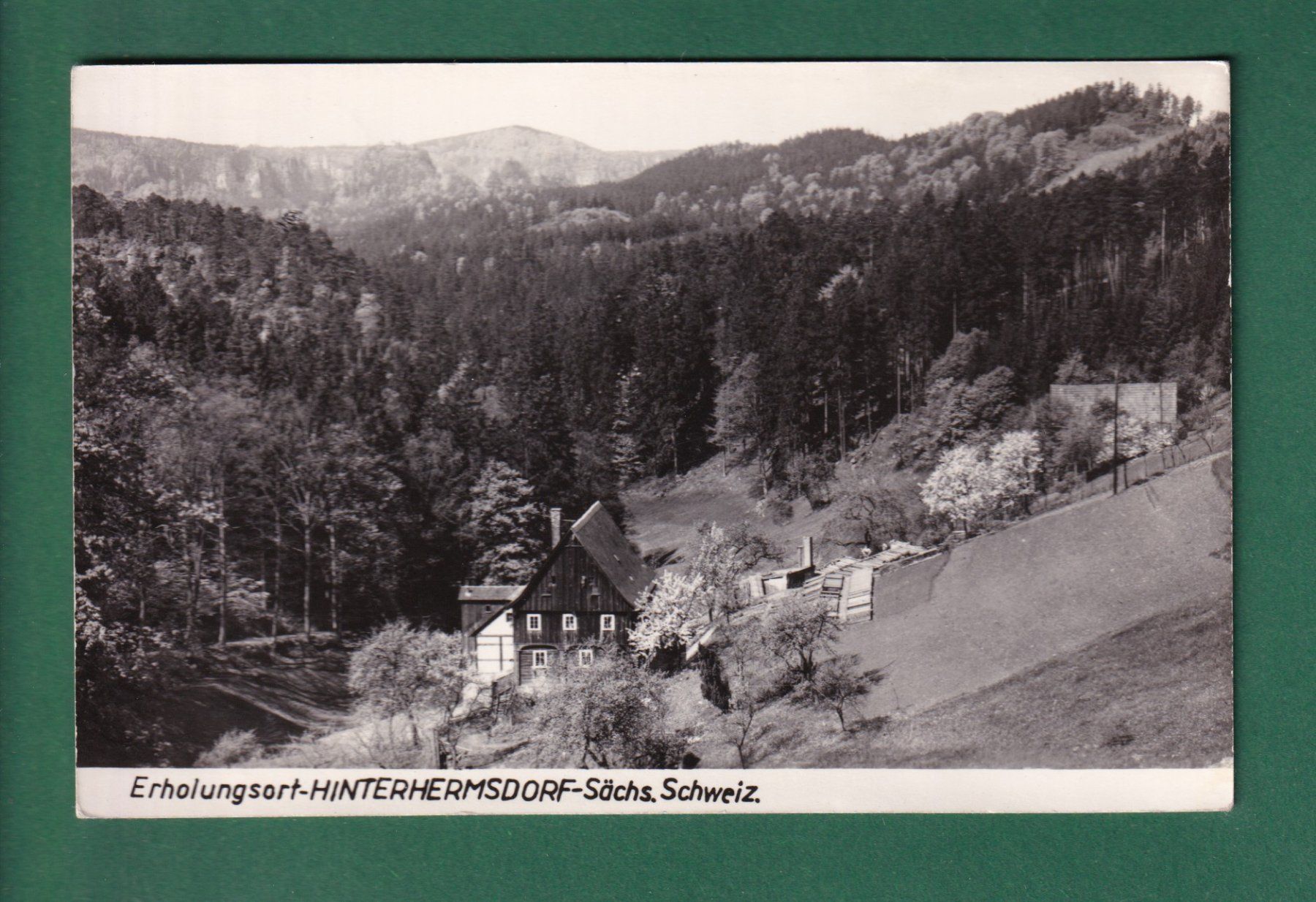 Cartes postales: Erholungsort HINTERHERMSDORF - 1961 – D'occasion à Pully par nicecards-shop