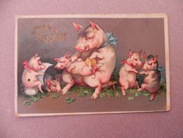 Karte Motiv Humor mit Schwein Sau 1911 Neujahr Mutter Kinder
