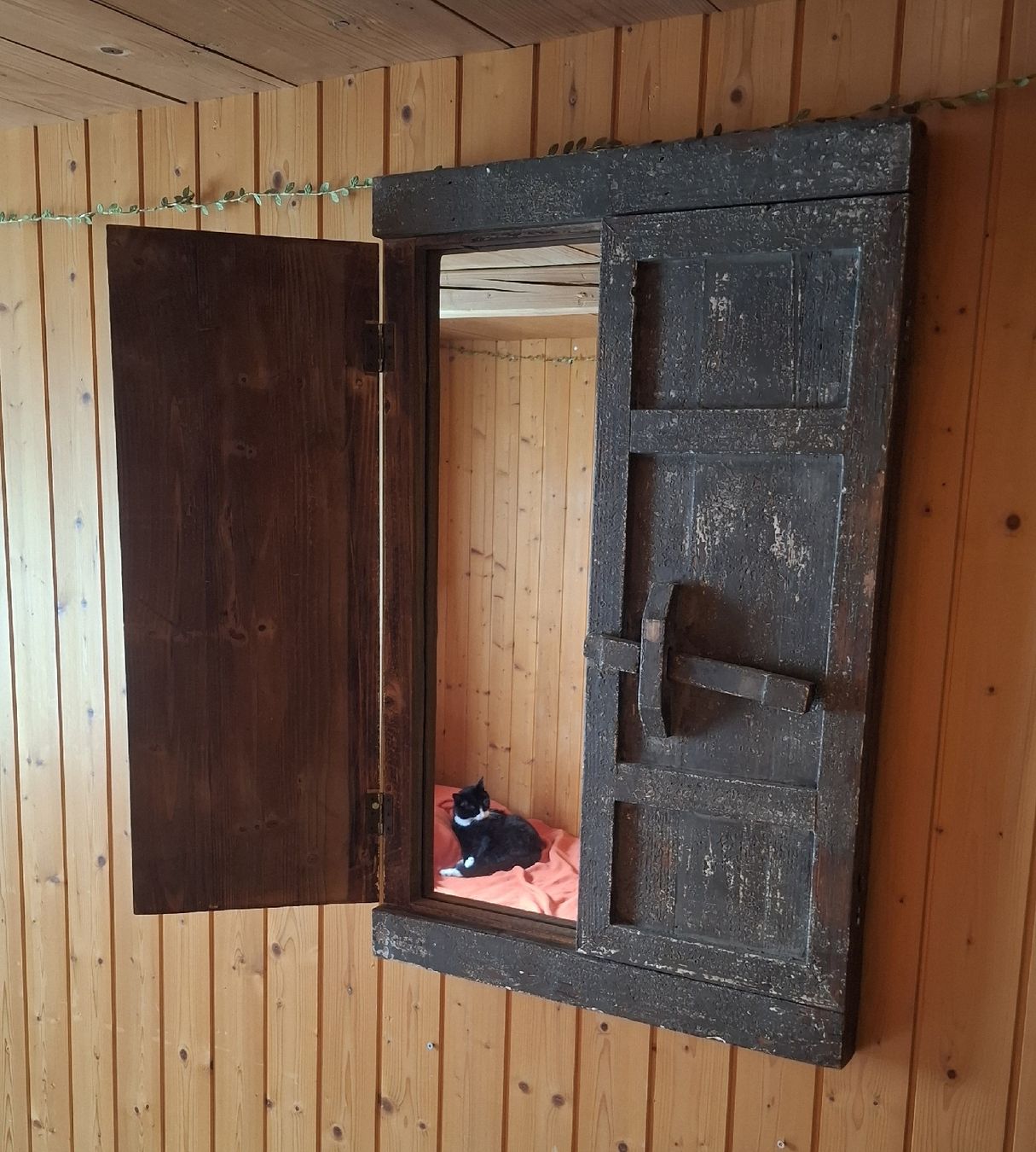 Spiegel: Spiegel Fenster – Gebraucht aus Ebnat-Kappel von Aibur 1