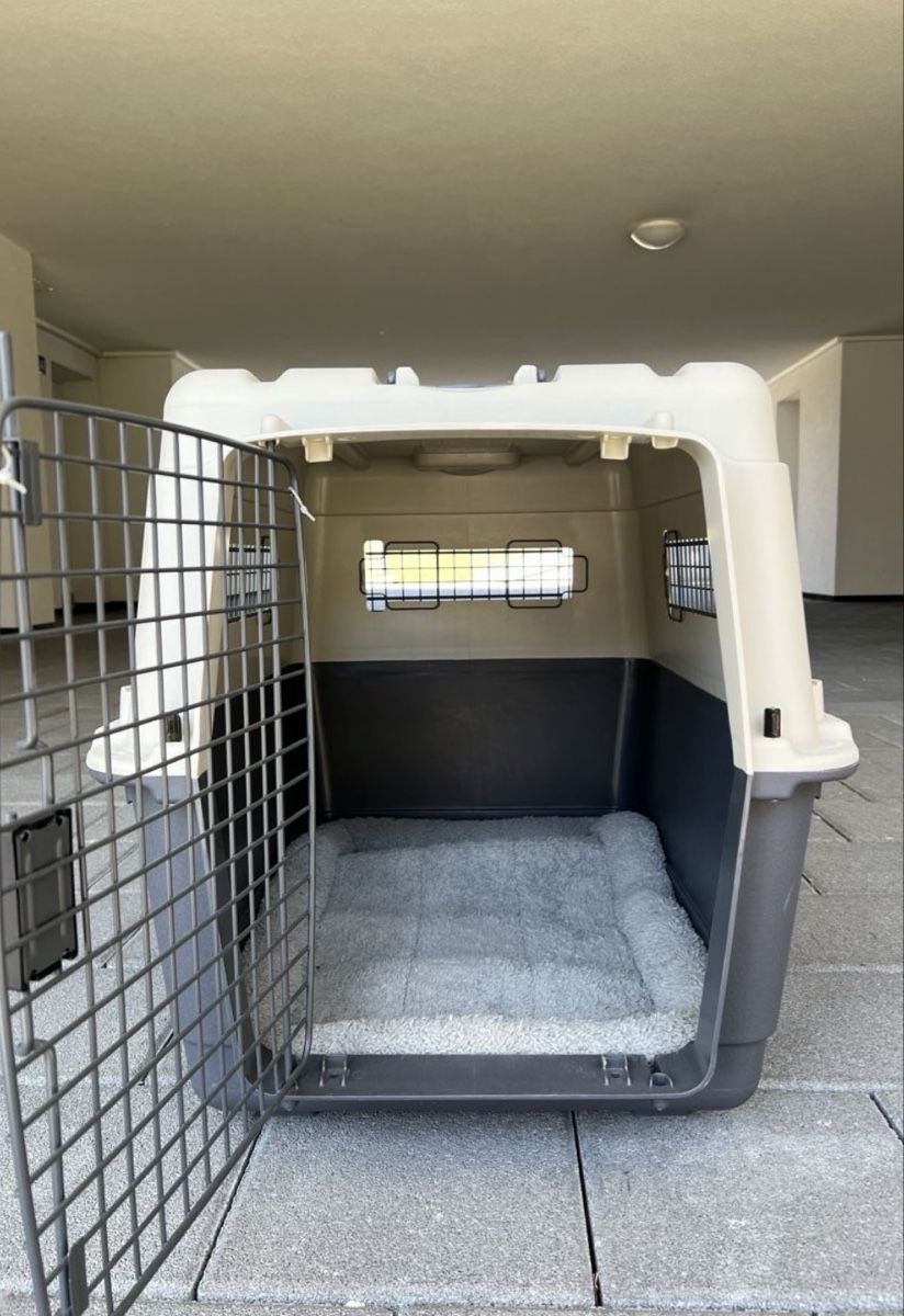 Gabbie, trasporto & Sicurezza: Hundebox – Usato da Winterthur venduto da Andrin_Stoeckli 1