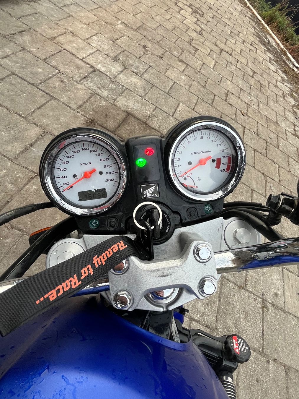 Honda Strada: HONDA CB600F HORNET – Usato da Sils im Domleschg venduto da S.fravi 2