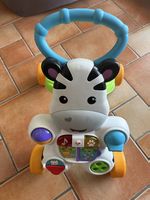 Girello primi passi interattivo  Zebra